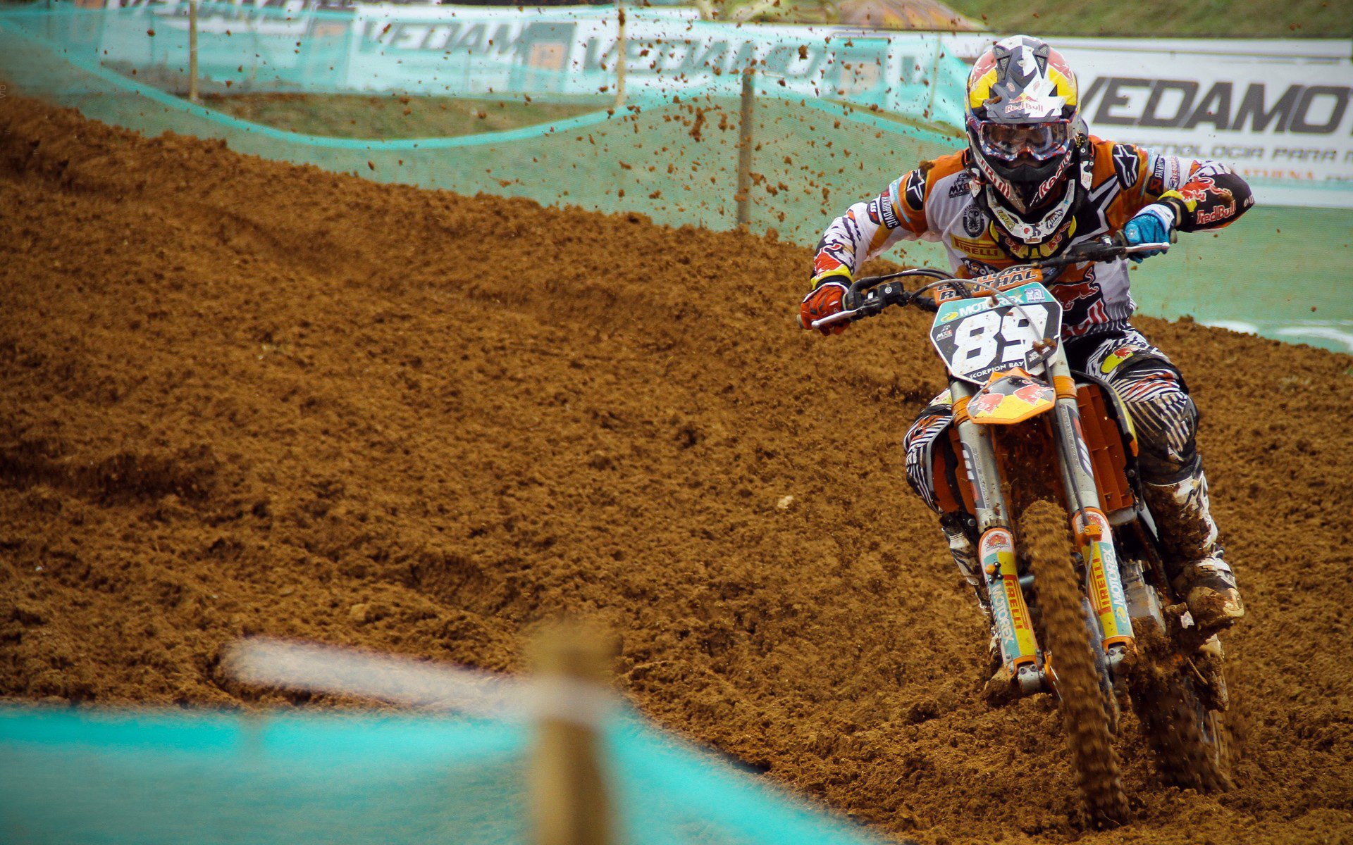 华体会体育app-“超级粉丝”榜单：谁是真正的现场王者？，超级粉丝团集结