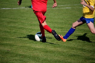 华体会app下载入口-世界皮划艇世界杯中国男队勇摘银牌，世界皮划艇冠军男子