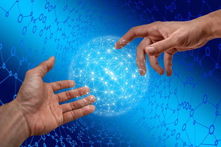 华体会体育网注册-德国仰泳项目技术稳定提升，德国仰泳项目技术稳定提升方案