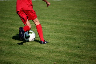 华体会体育官网入口-中国足球青训体系引进国际先进训练理念，中国足球青训体系是什么